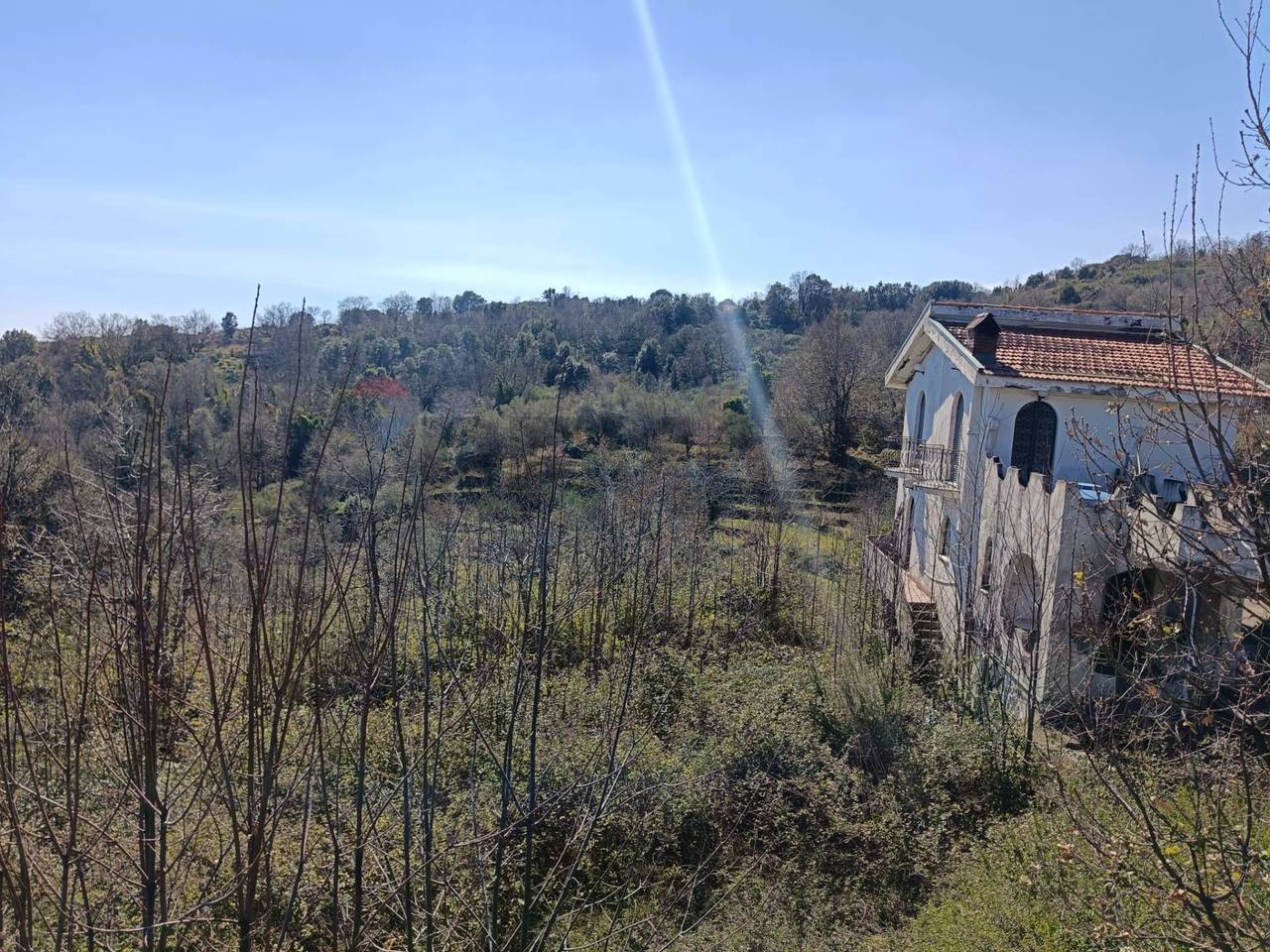 immagine annuncio 7 di 8