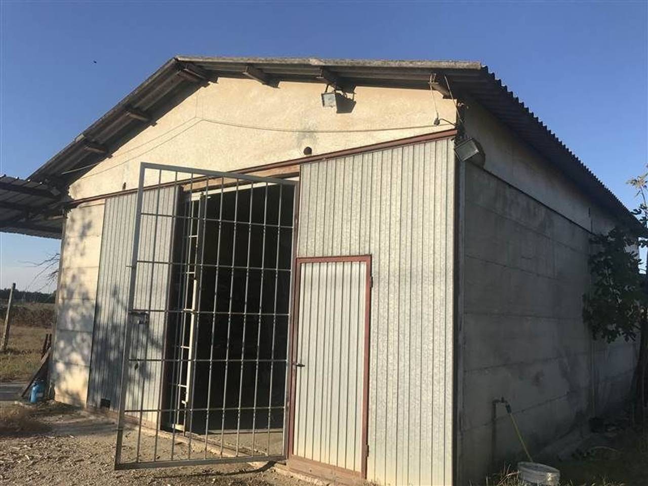 immagine annuncio 3 di 6