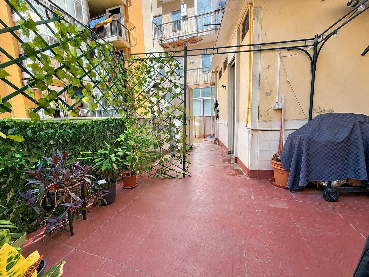 immagine annuncio 7 di 13