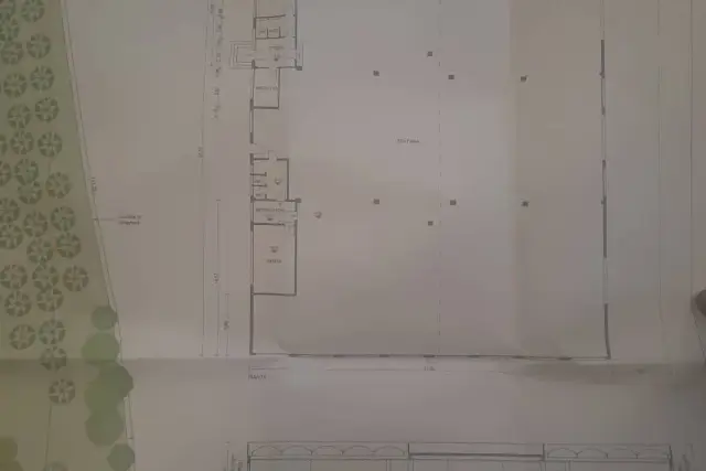 insertion image