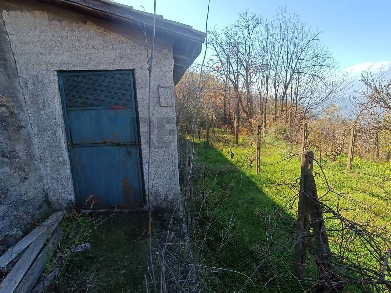 immagine annuncio 14 di 15