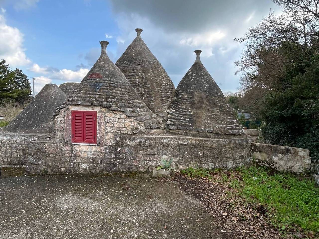 immagine annuncio 8 di 13