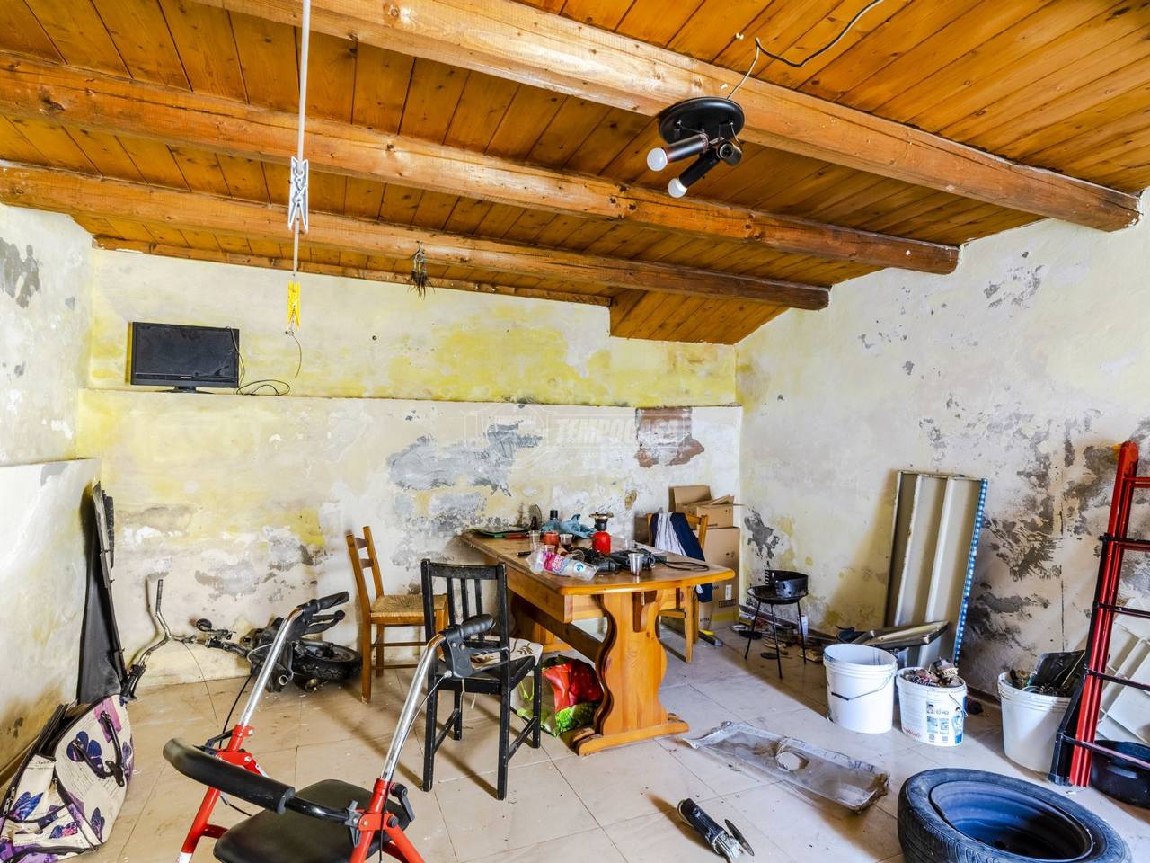 immagine annuncio 5 di 14