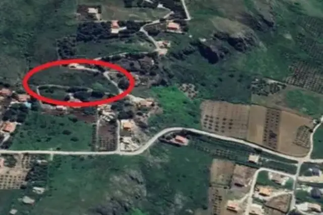 insertion image