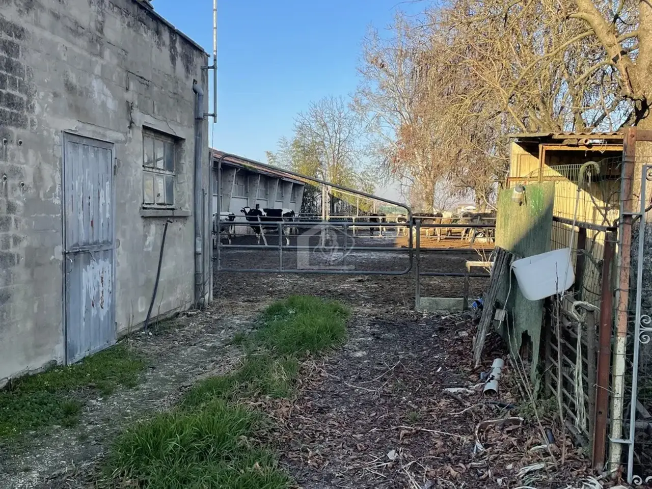 Azienda agricola in , Luzzara, {3} - Foto 2