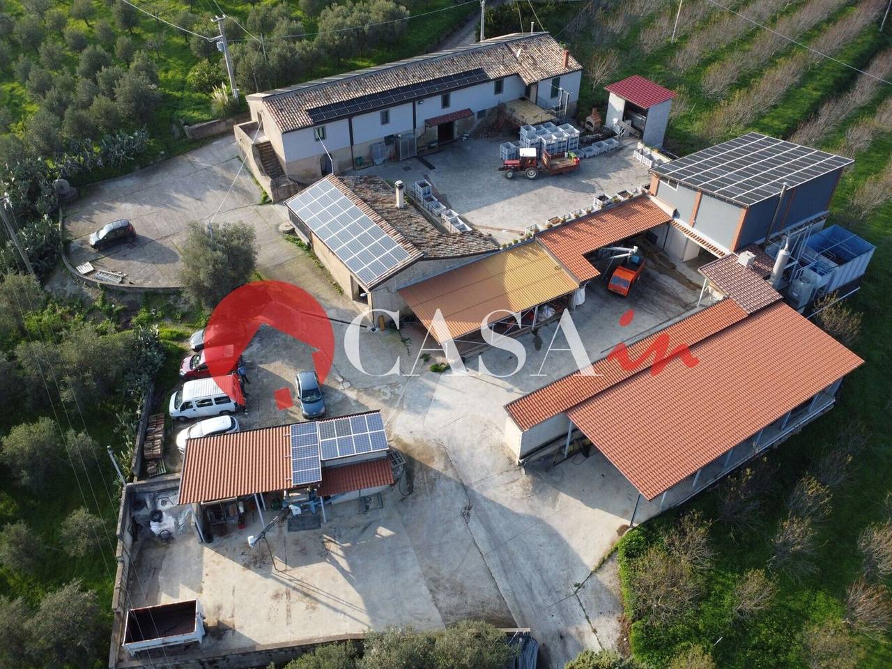 immagine annuncio 1 di 15
