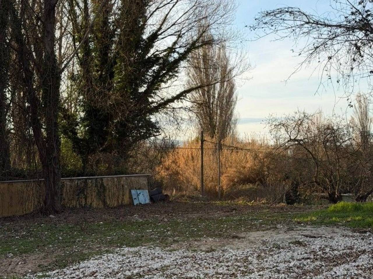 immagine annuncio 4 di 8