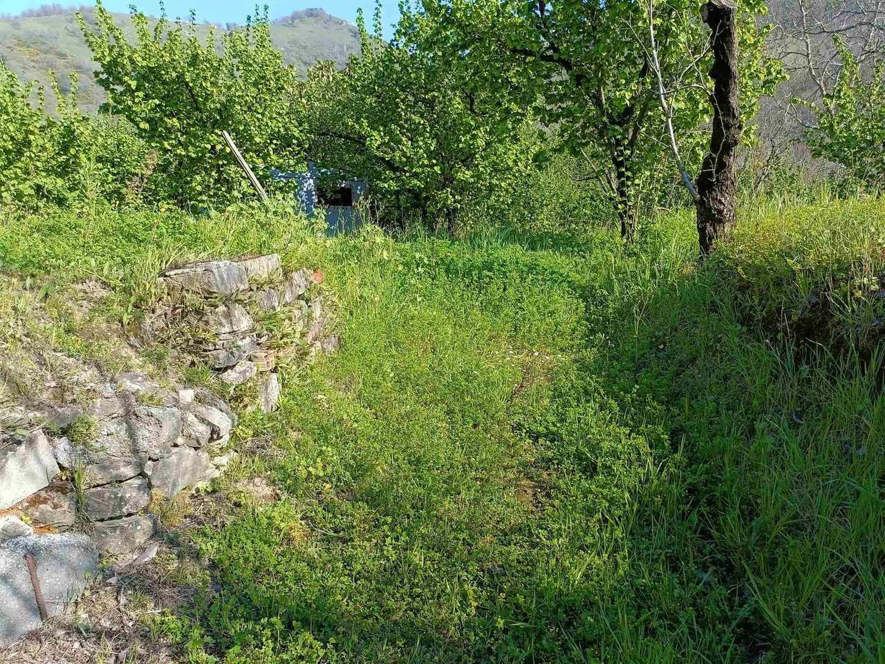 immagine annuncio 8 di 9