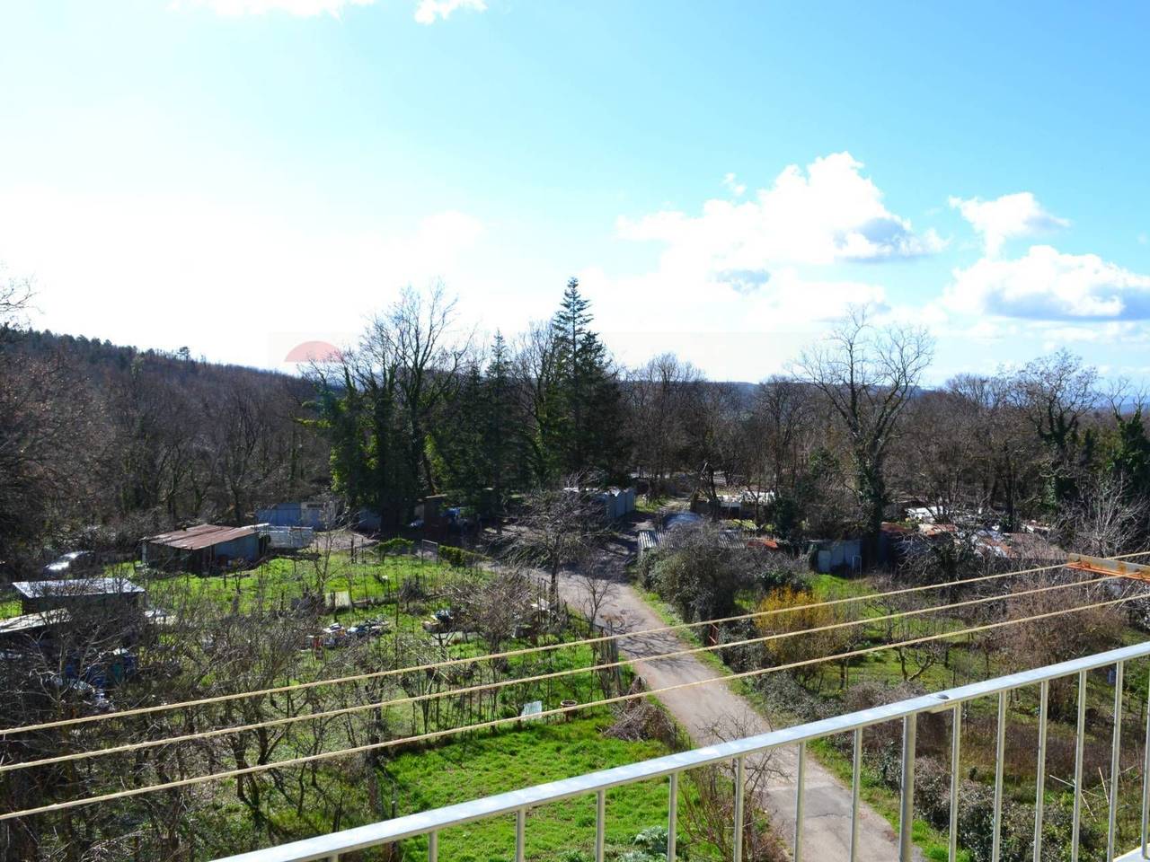 immagine annuncio 11 di 14