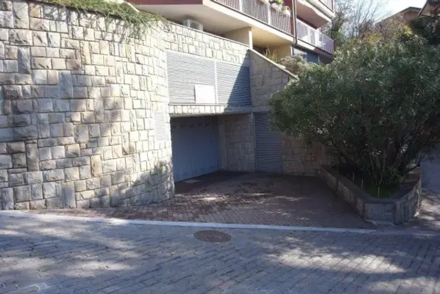 insertion image