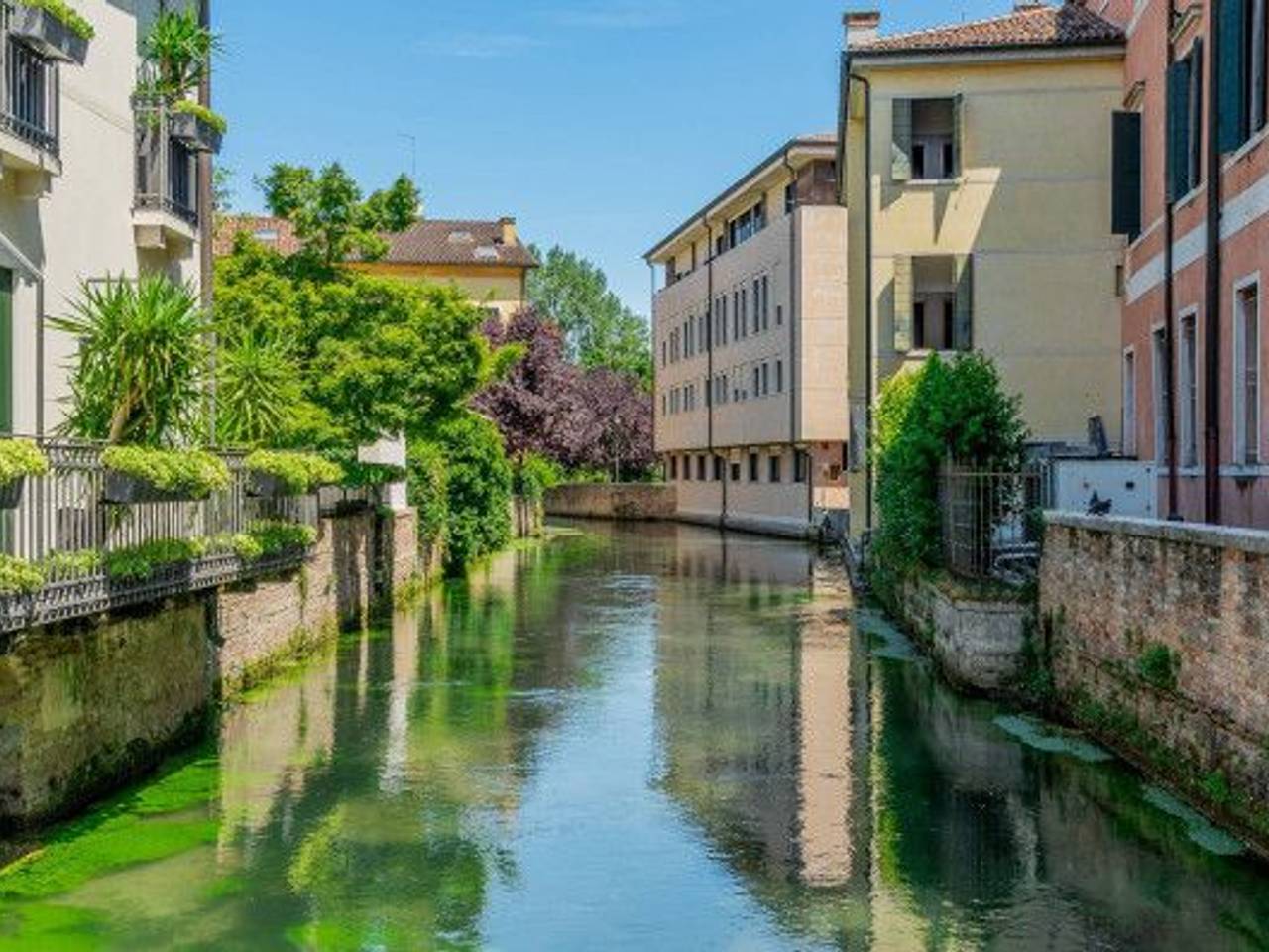 immagine annuncio 11 di 14