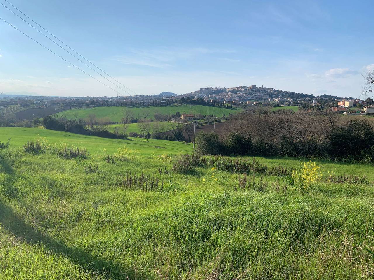 immagine annuncio 10 di 11