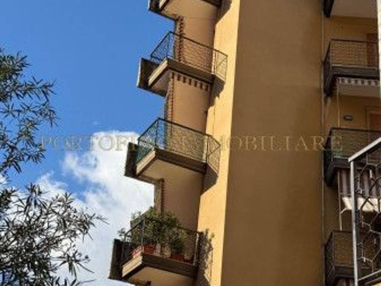 immagine annuncio 5 di 13