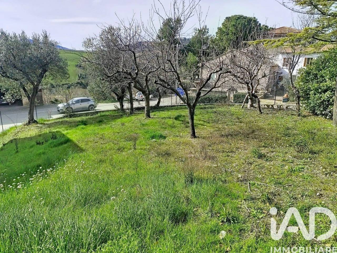 immagine annuncio 2 di 14