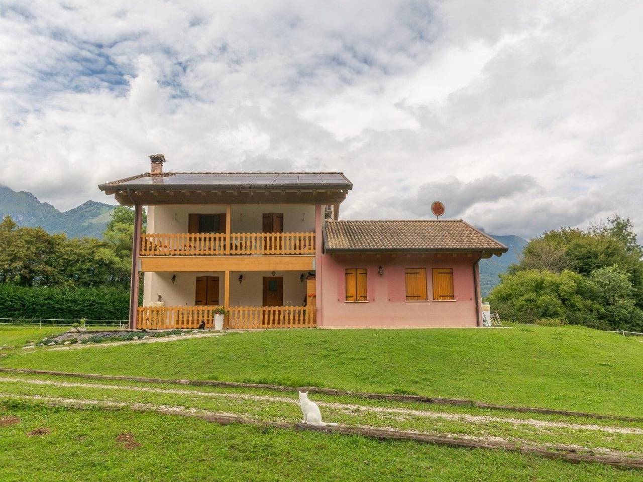 immagine annuncio 4 di 15