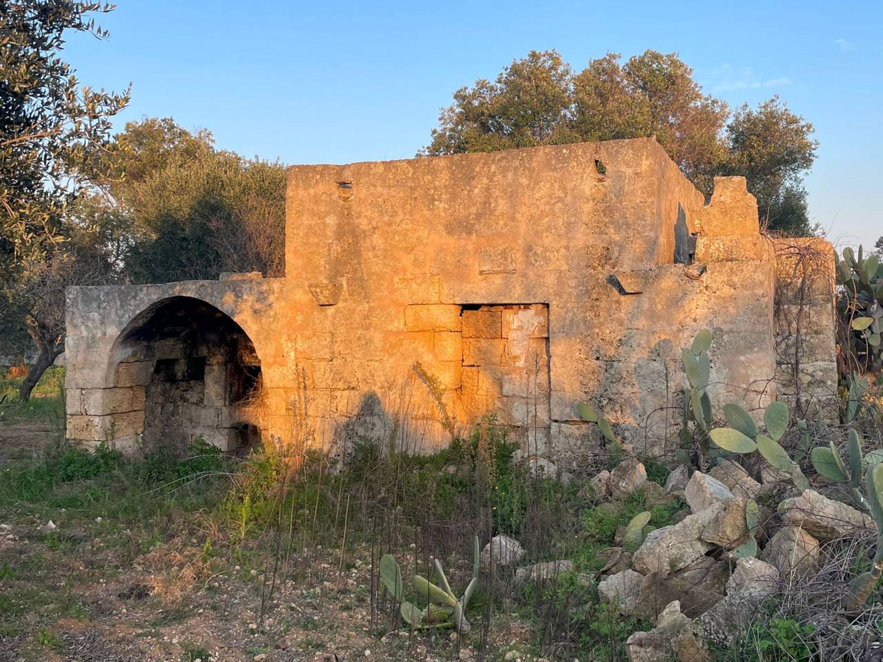 immagine annuncio 11 di 15