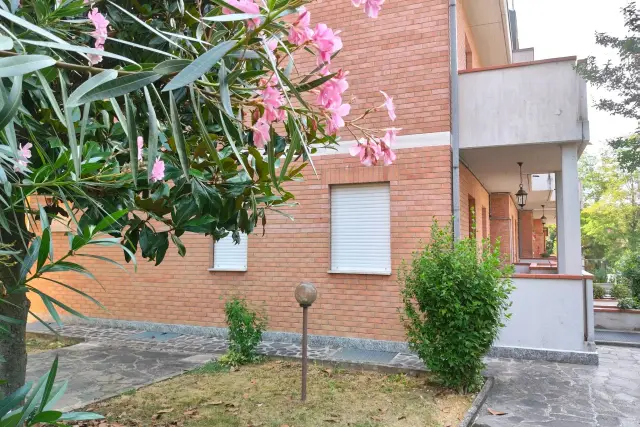 insertion image