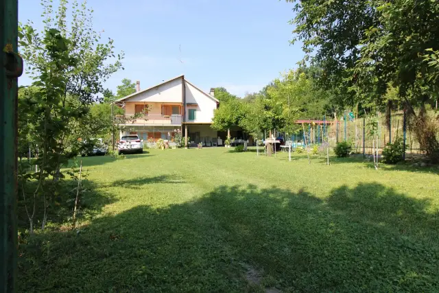 insertion image