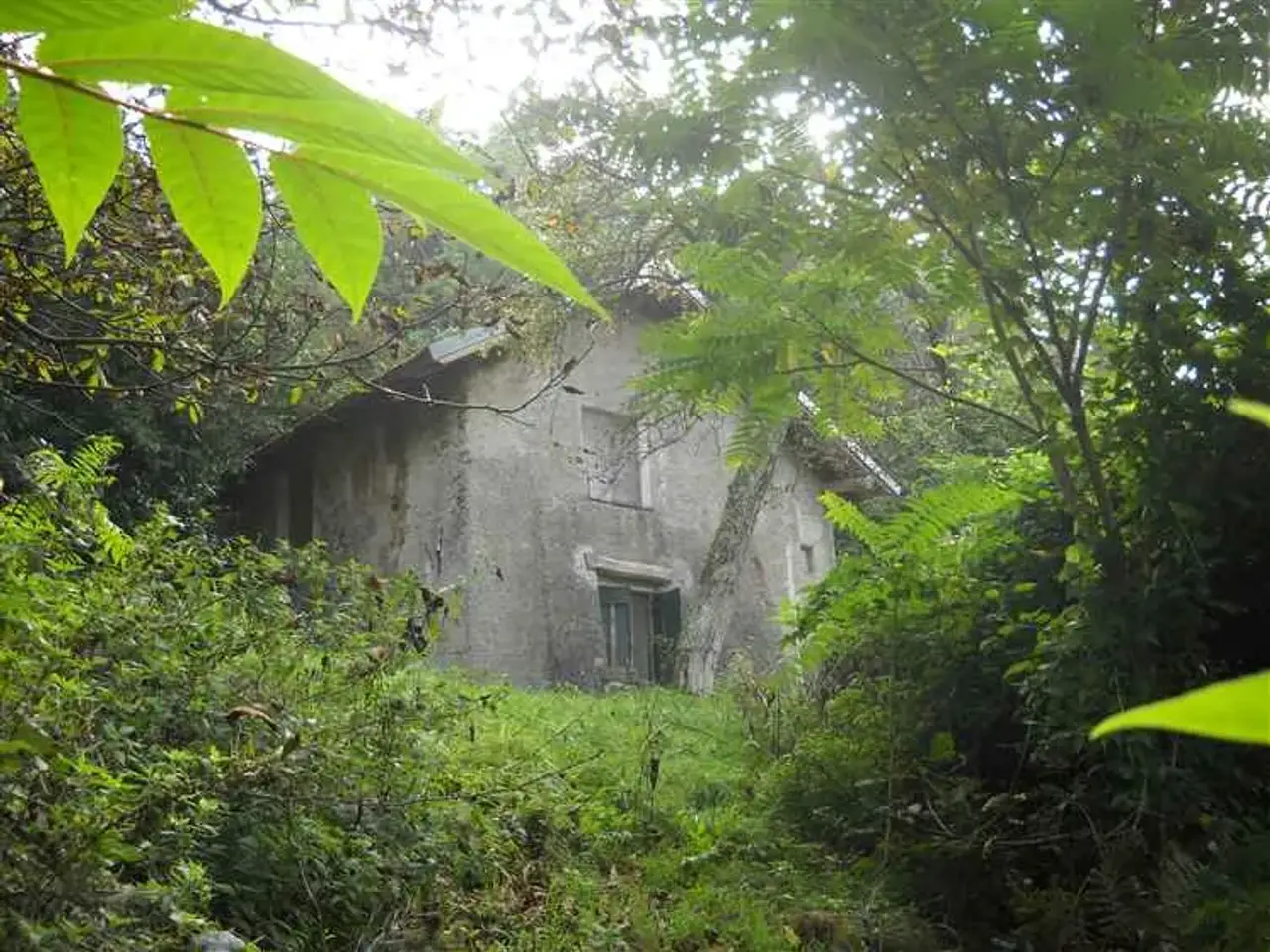 Azienda agricola in Novi Via Verdi- Arquata Scrivia- Tortona Lcitalia, Fraconalto, {3} - Foto 1