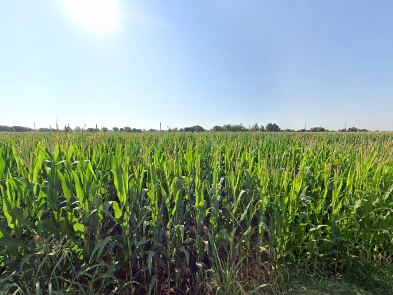 immagine annuncio 1 di 8