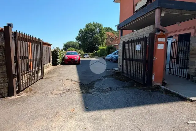 insertion image