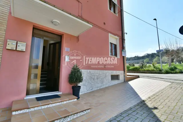 insertion image