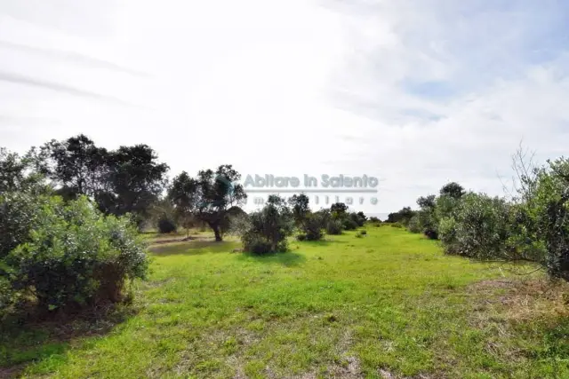 Terreno agricolo in Strada Comunale del Colle, Salve - Foto 1