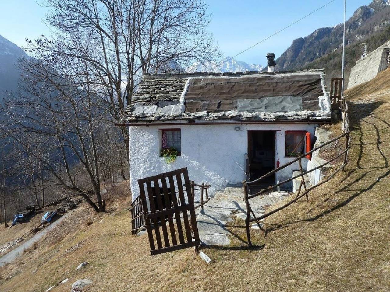 immagine annuncio 5 di 14