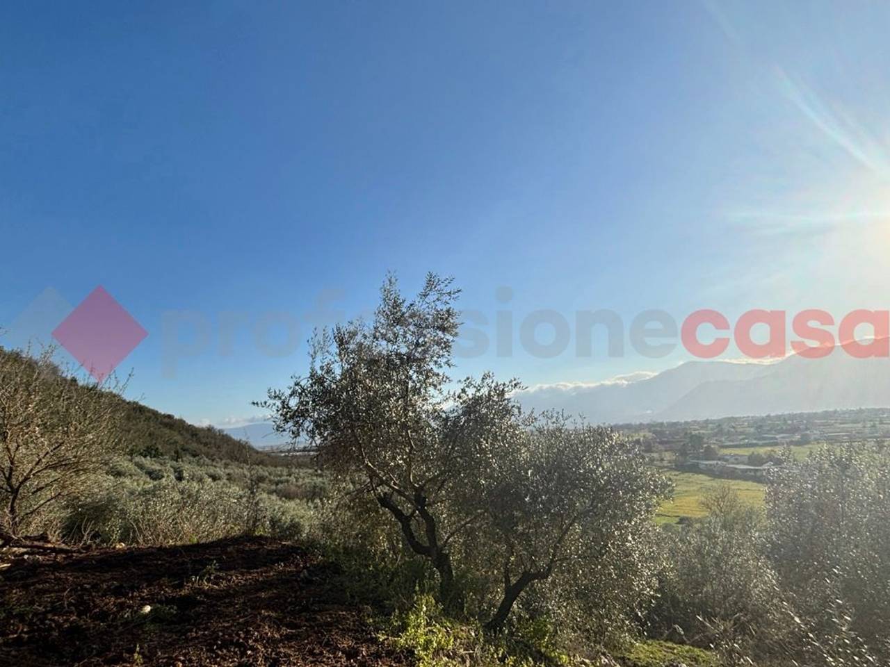 immagine annuncio 1 di 7