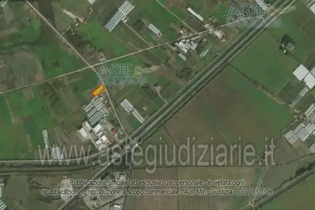 insertion image