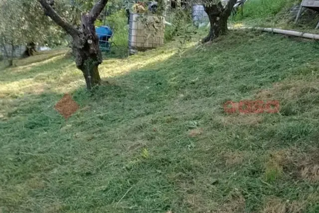 insertion image