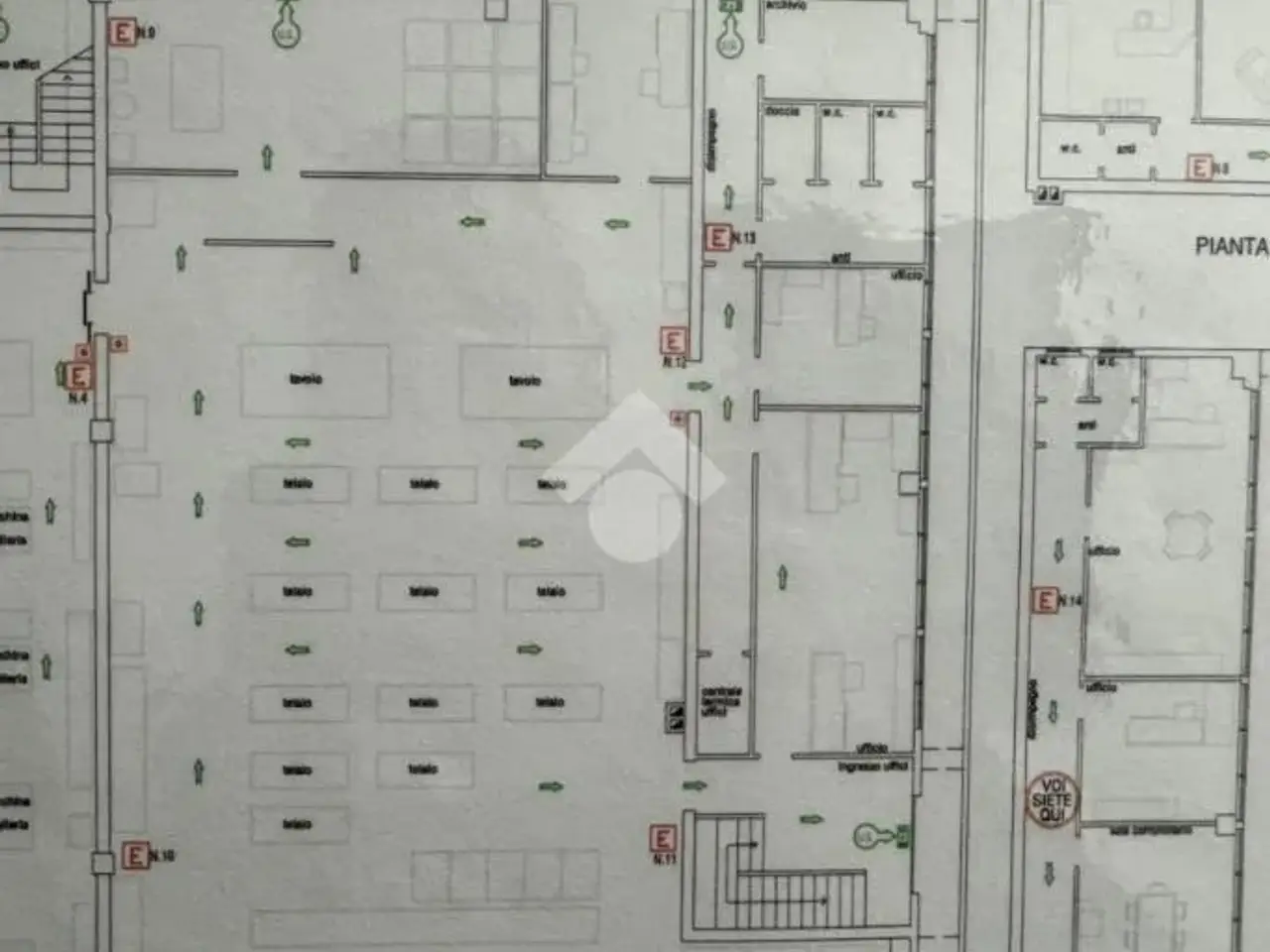 Capannone in Via Casteo 1, Piombino Dese, {3} - Planimetria 1