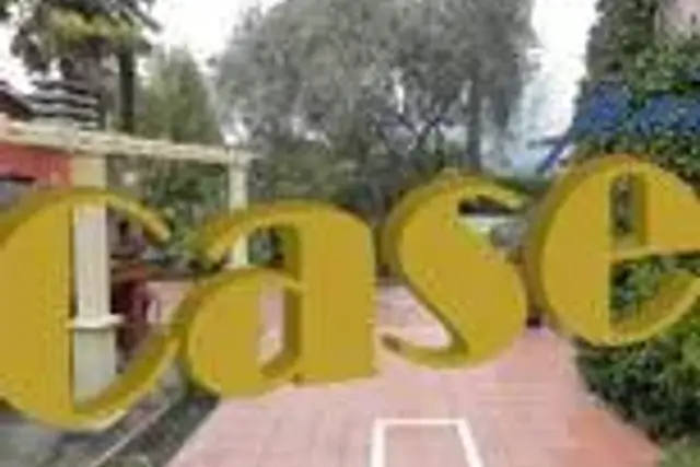 insertion image