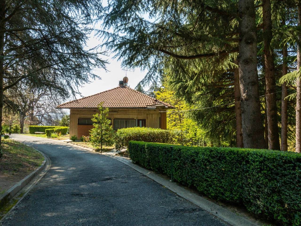 immagine annuncio 8 di 13