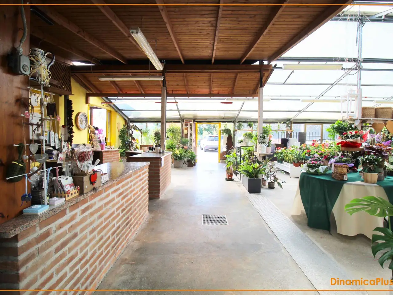 Negozio in Via Postumia , Motta Di Livenza, {3} - Foto 1