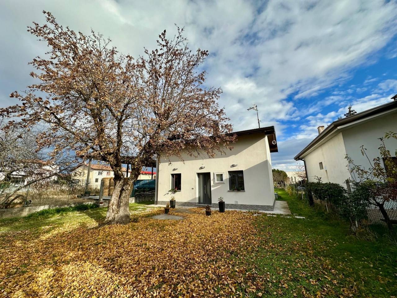 immagine annuncio 1 di 14