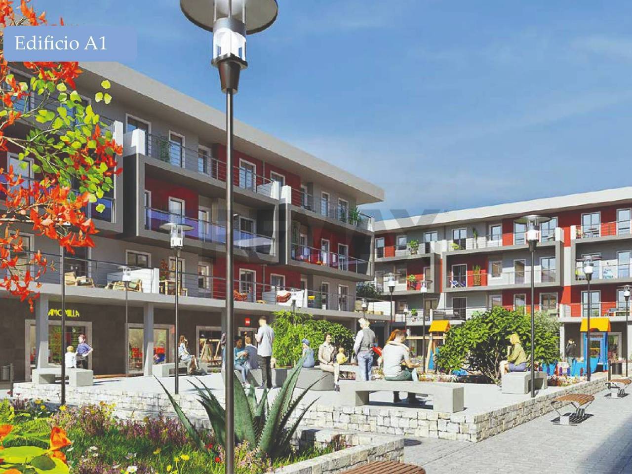 immagine annuncio 1 di 15