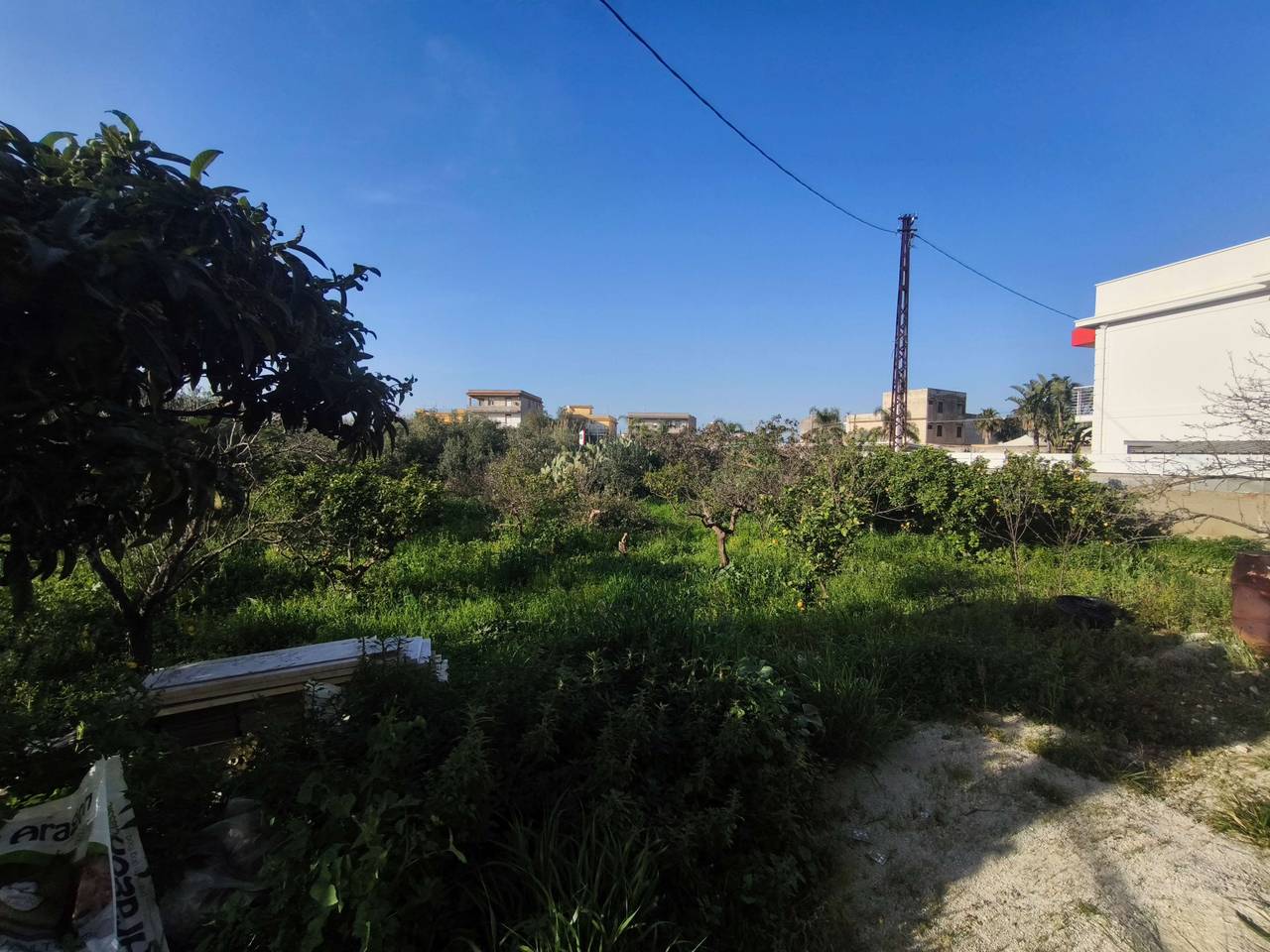 immagine annuncio 14 di 15