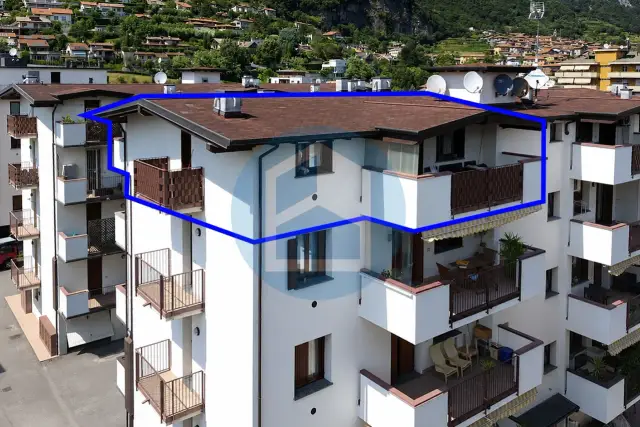 insertion image