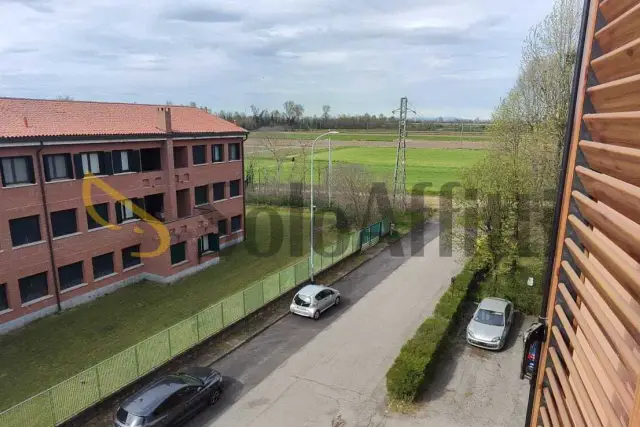 insertion image