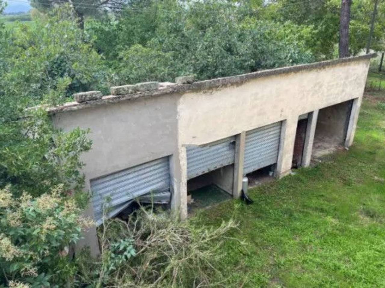 immagine annuncio 2 di 4