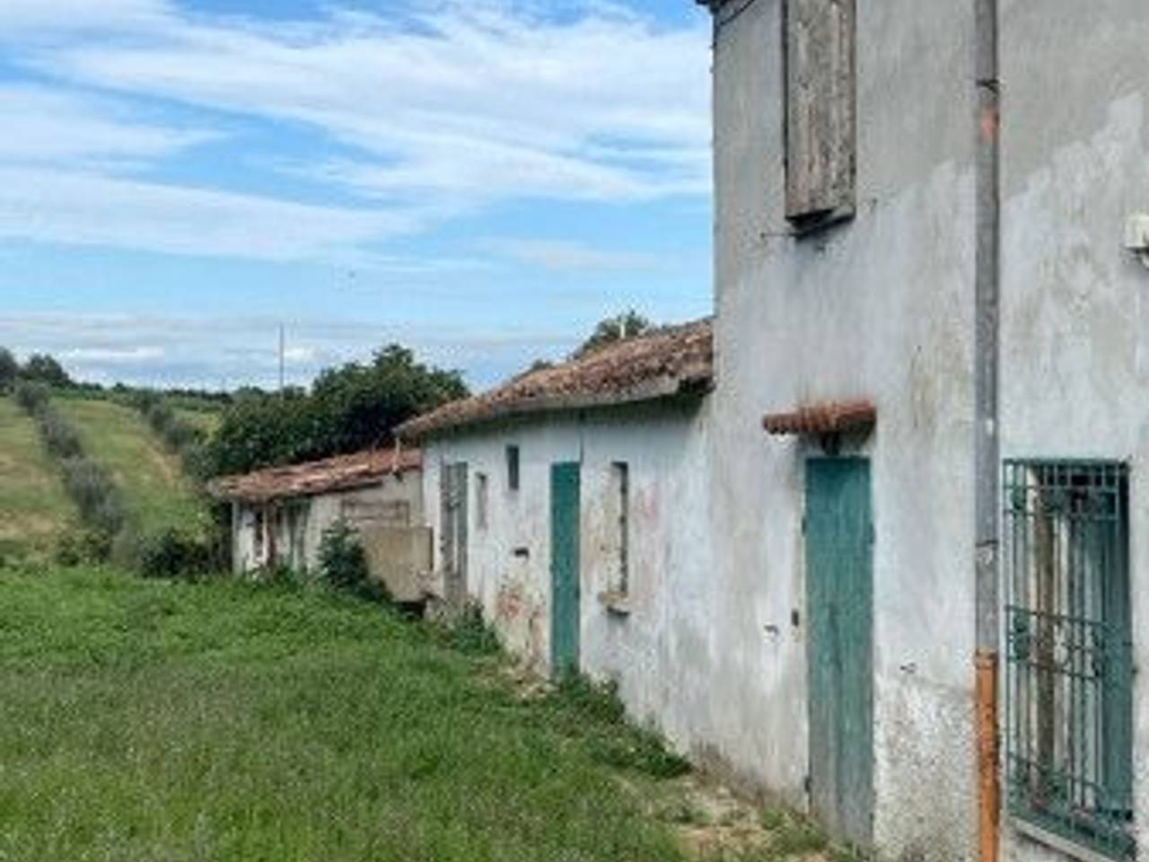 immagine annuncio 3 di 11