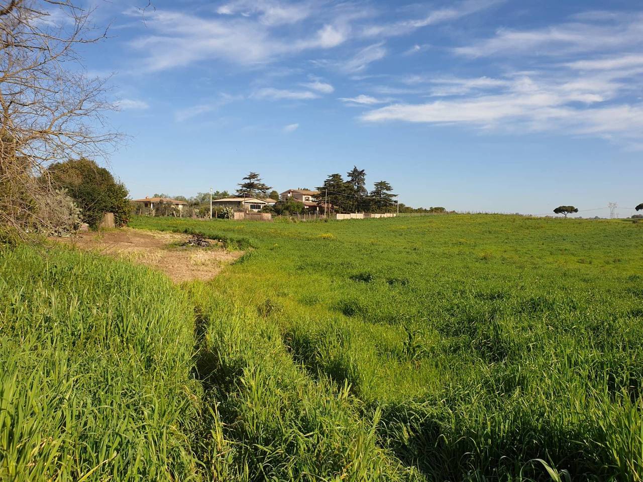 immagine annuncio 2 di 13