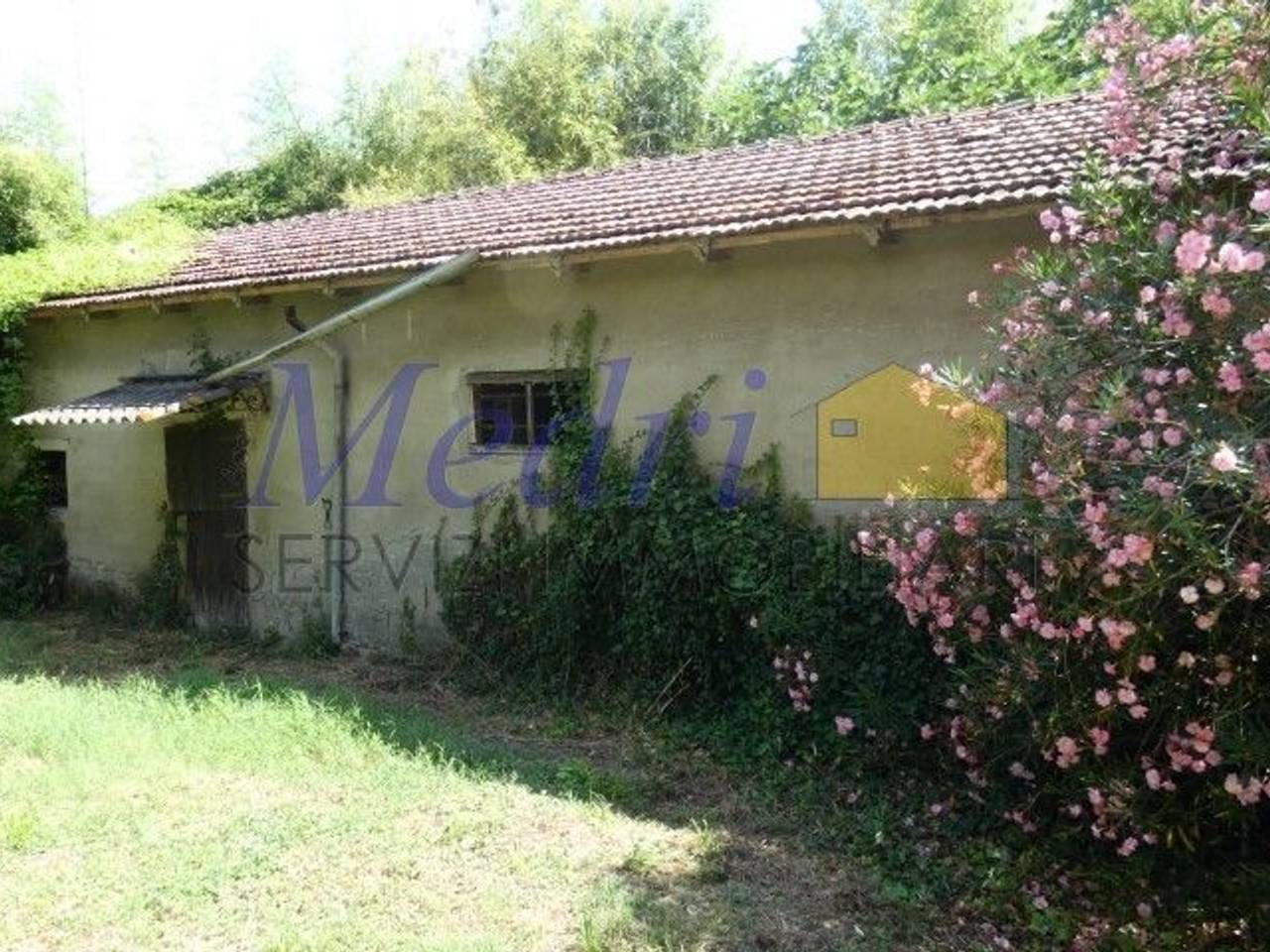 immagine annuncio 5 di 13