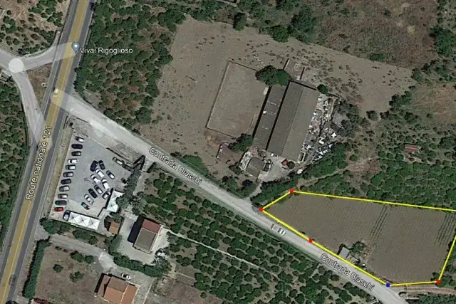 insertion image