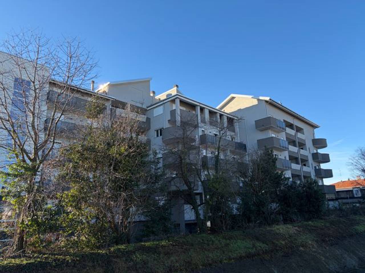 immagine annuncio 3 di 14