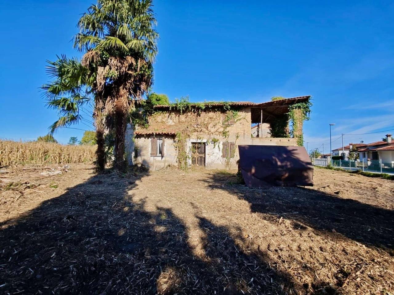 immagine annuncio 1 di 8