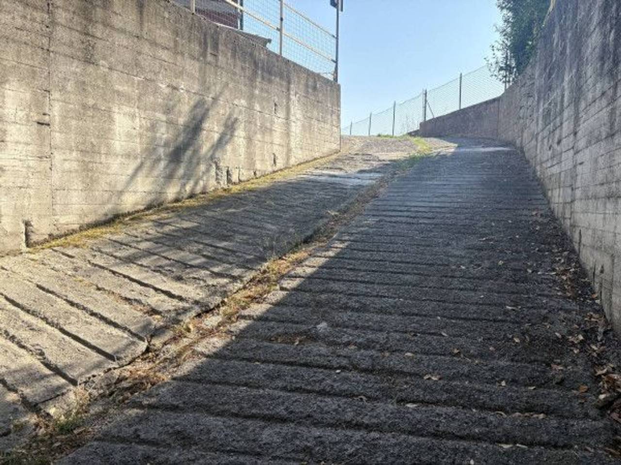 immagine annuncio 4 di 6