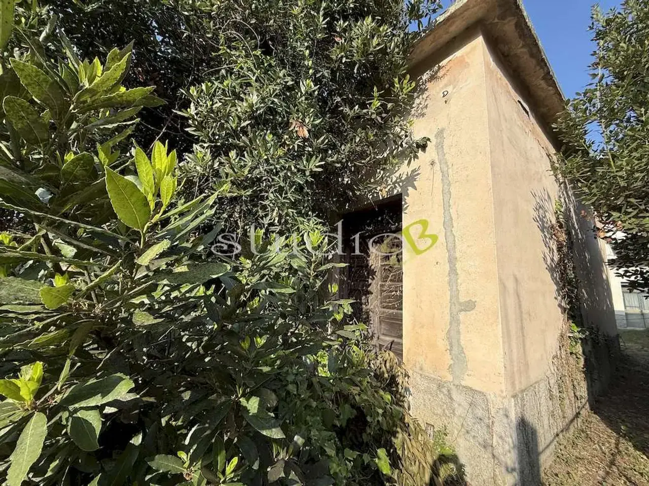 Magazzino in Strada Provinciale 59, San Biagio Della Cima, {3} - Foto 2