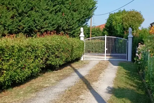 insertion image